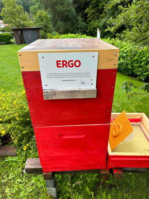 Hurra die Bienen sind da!