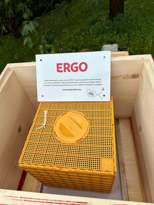 Hurra die Bienen sind da! Bild 1