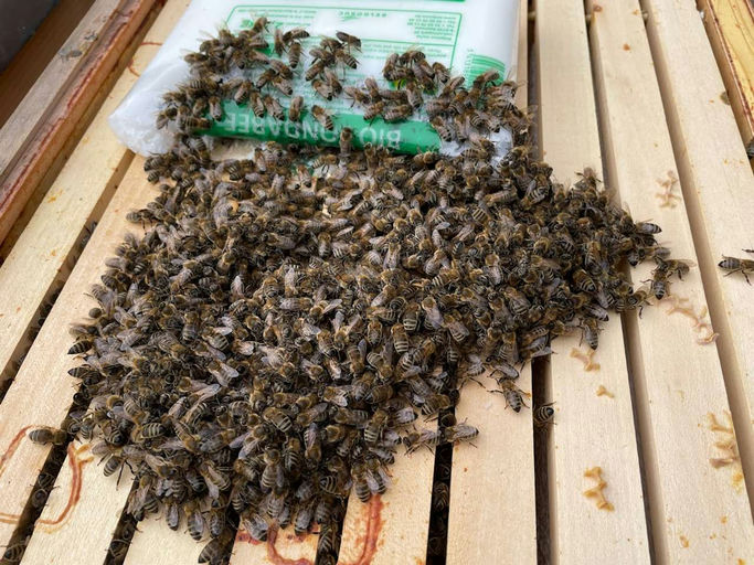 Zuerst zu warm und jetzt doch wieder kalt....