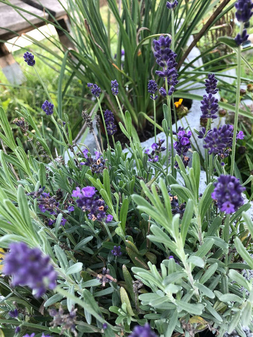 Letzte Arbeiten vor der Winterpause