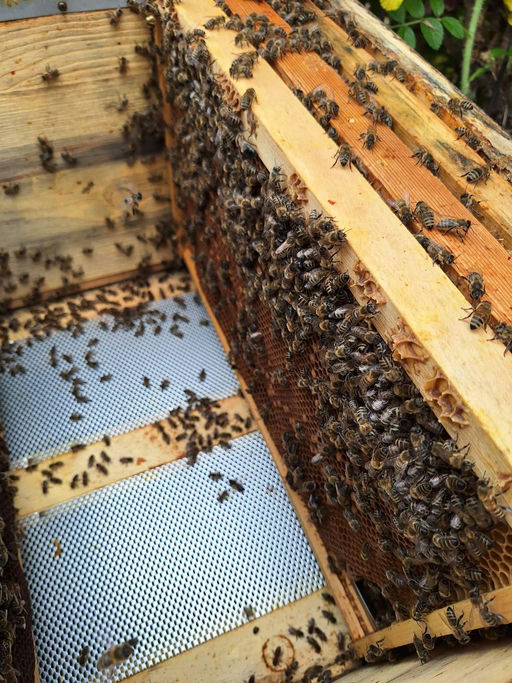 Regen Regen Regen Bild 2