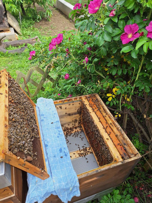 Regen Regen Regen Bild 3