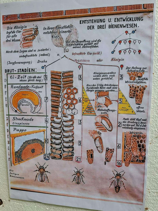 Regen Regen Regen Bild 4