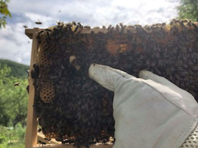 Sie probieren es tatsächlich nochmal