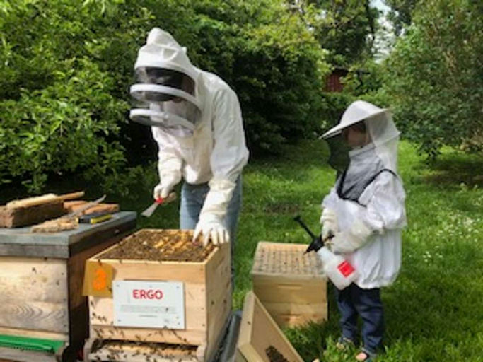 Sie probieren es tatsächlich nochmal Bild 1