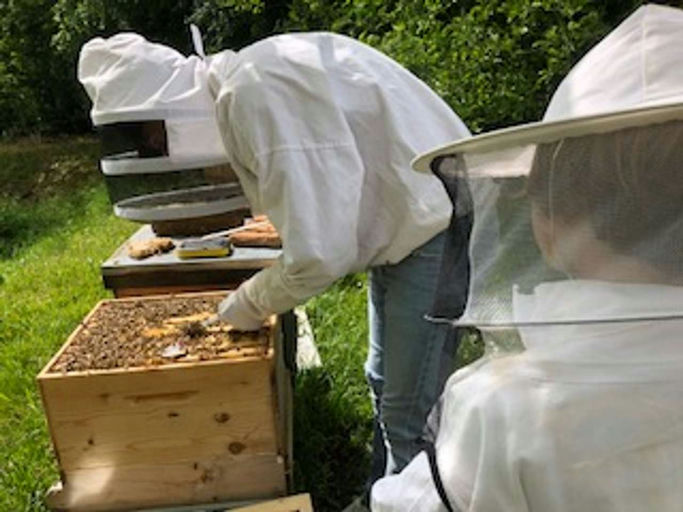 Sie probieren es tatsächlich nochmal Bild 2