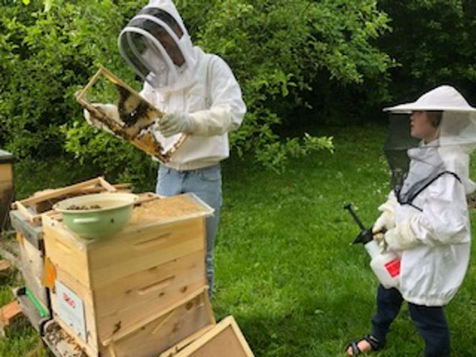 Sie probieren es tatsächlich nochmal Bild 3