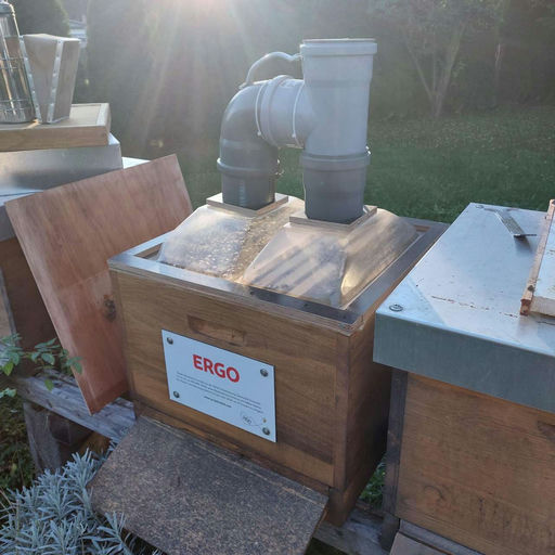 Ein Winterung Bild 1