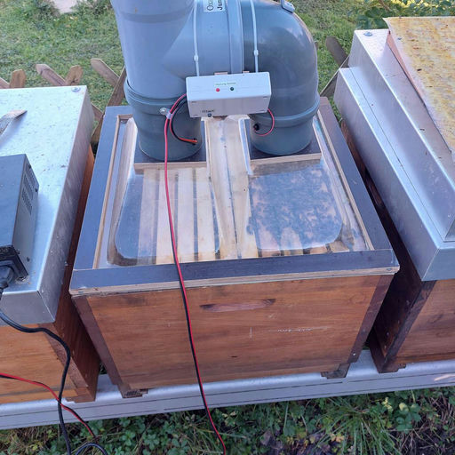 Ein Winterung Bild 2