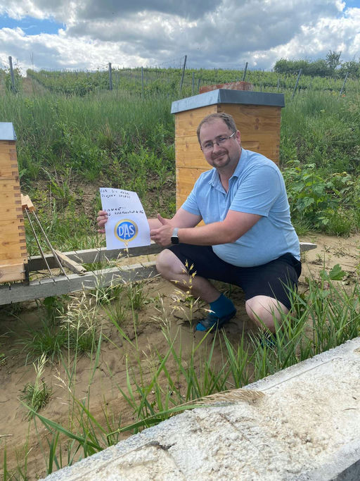 Leider keine Bienen im Juli erhalten