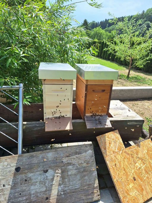 Mai ist Schwarmzeit :-)