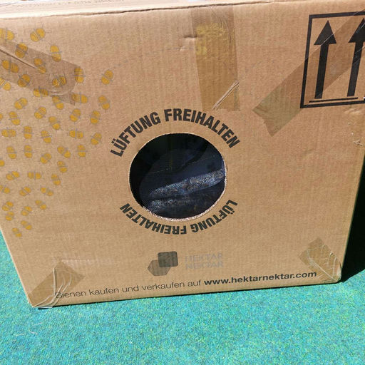 Einzug der Bienen Bild 2