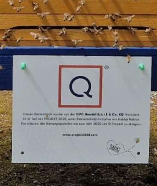 Unsere QVC-Firmenbienen - nach der Honigernte wird gefüttert! Bild 2