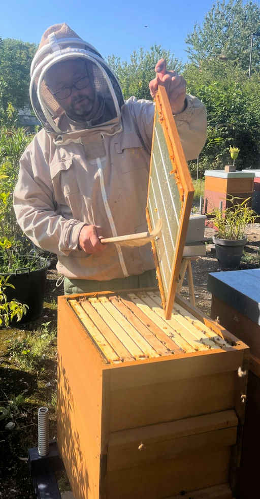 Unsere QVC-Firmenbienen - nach der Honigernte wird gefüttert! Bild 3