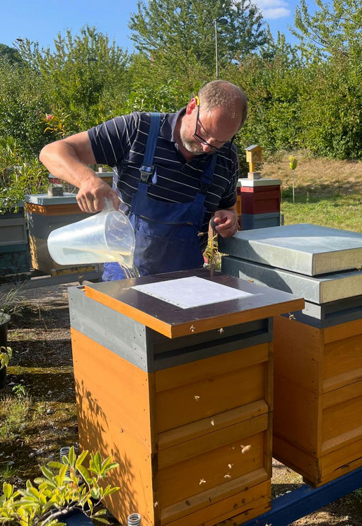 Unsere QVC-Firmenbienen - nach der Honigernte wird gefüttert! Bild 4