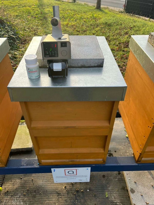 Letzer Besuch bei den Bienen für dieses Jahr Bild 1