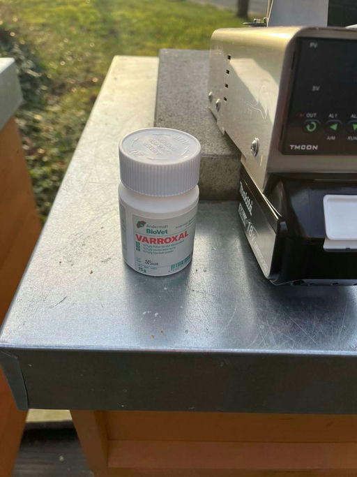 Letzer Besuch bei den Bienen für dieses Jahr Bild 2