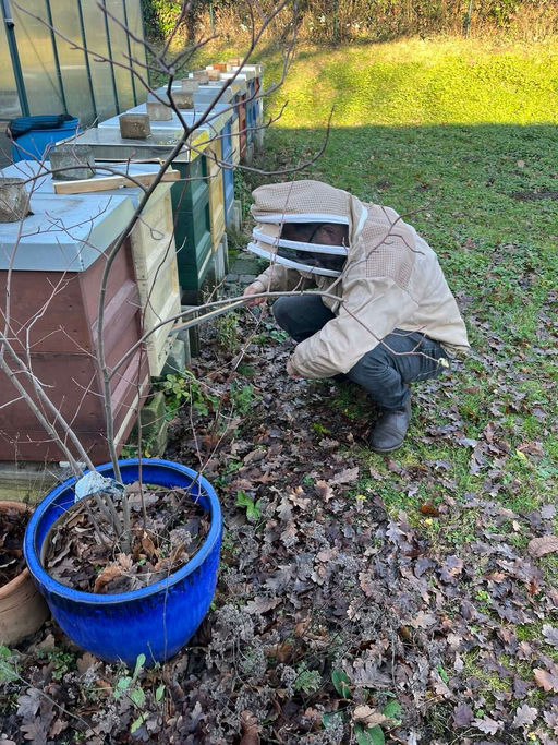 Der Vorfrühling beginnt Bild 1