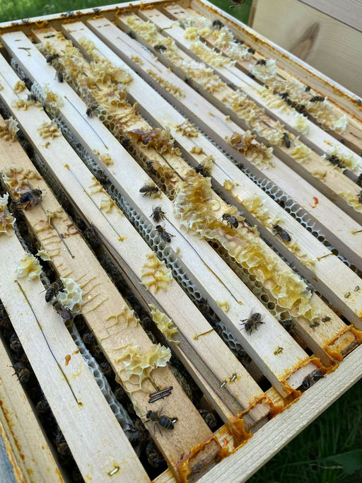 Erntezeit bei STORE ROOM