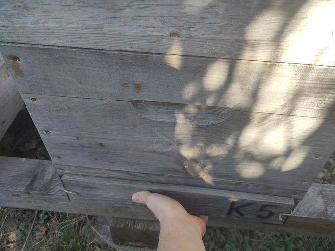 Futterkontrolle Bild 2