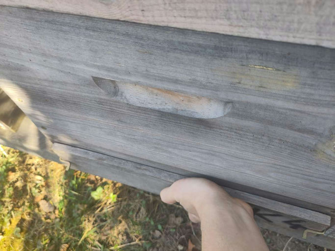 Futterkontrolle Bild 3