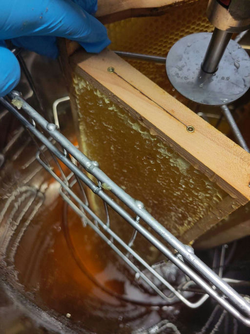 Letzte Honigernte 2024 & Besuch von fremden Bienen? Bild 1