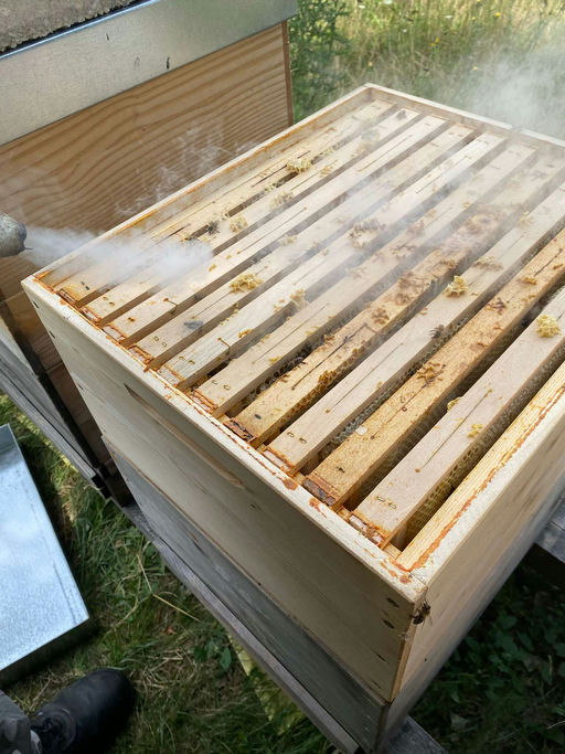 Juli als stärktes Monat Bild 1