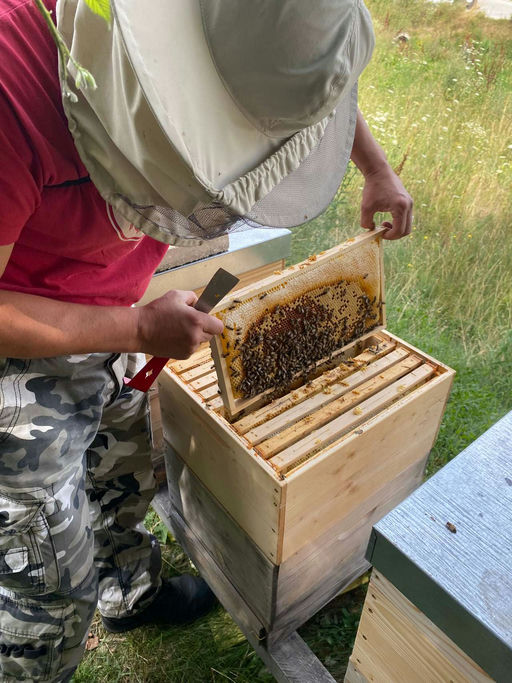 Juli als stärktes Monat Bild 2