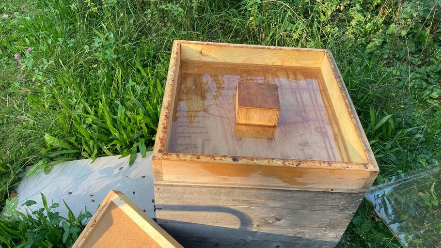 Letzte Behandlung und Bienen für den Winter vorbereiten Bild 1