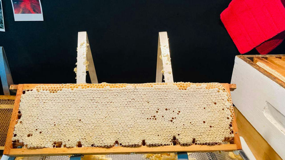 Im Juli wird abgeschleudert Bild 1