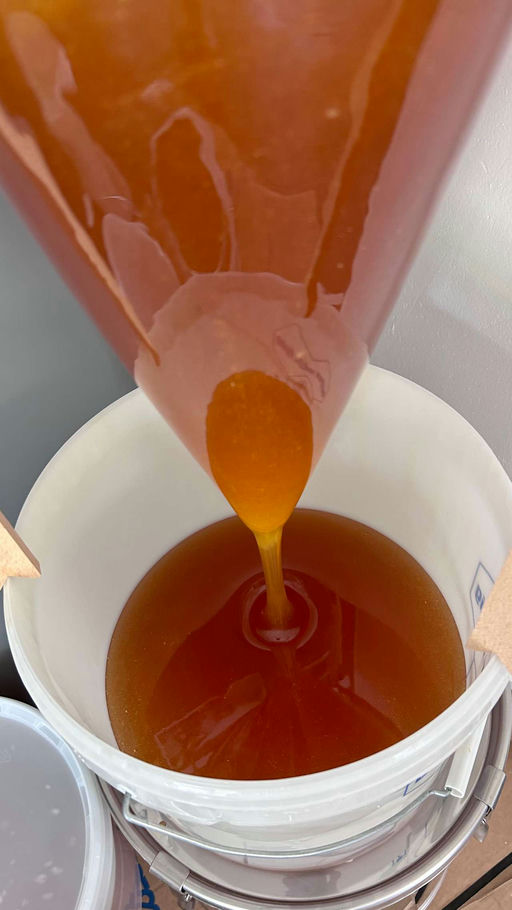 Im Juli wird abgeschleudert Bild 4