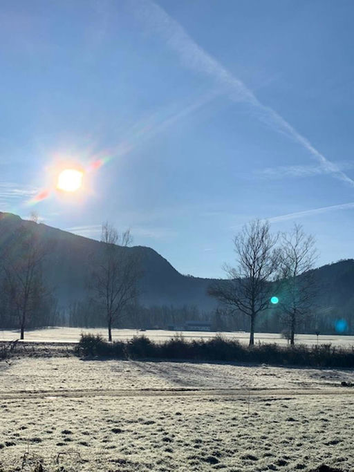 Erste Kontrolle im Frühjahr Bild 1