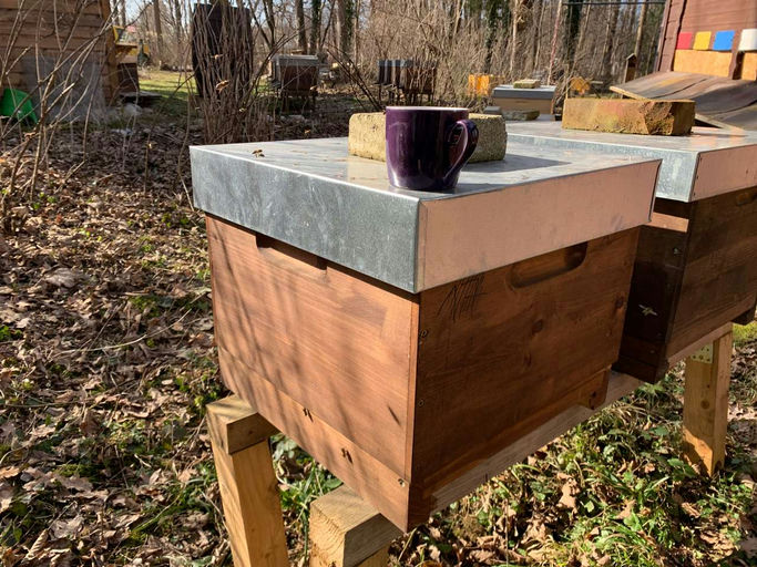 Reinigungsflug bei Sonnenschein Bild 1