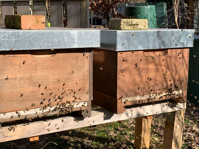 Reinigungsflug bei Sonnenschein Bild 2