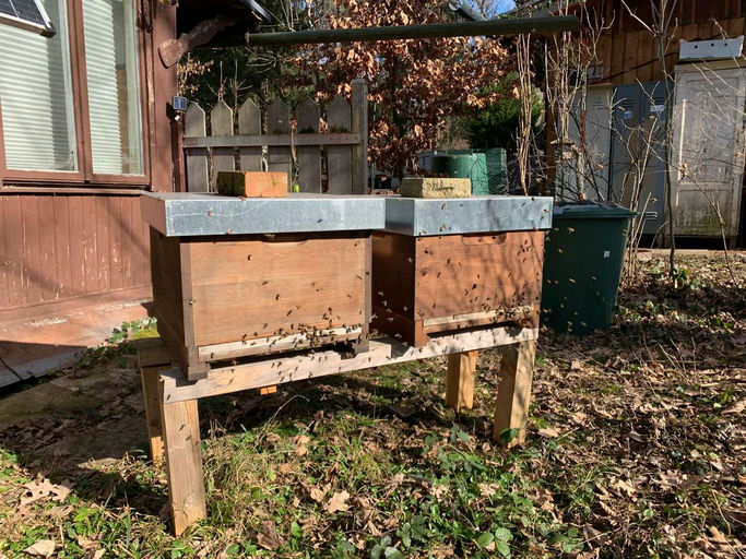 Reinigungsflug bei Sonnenschein Bild 3