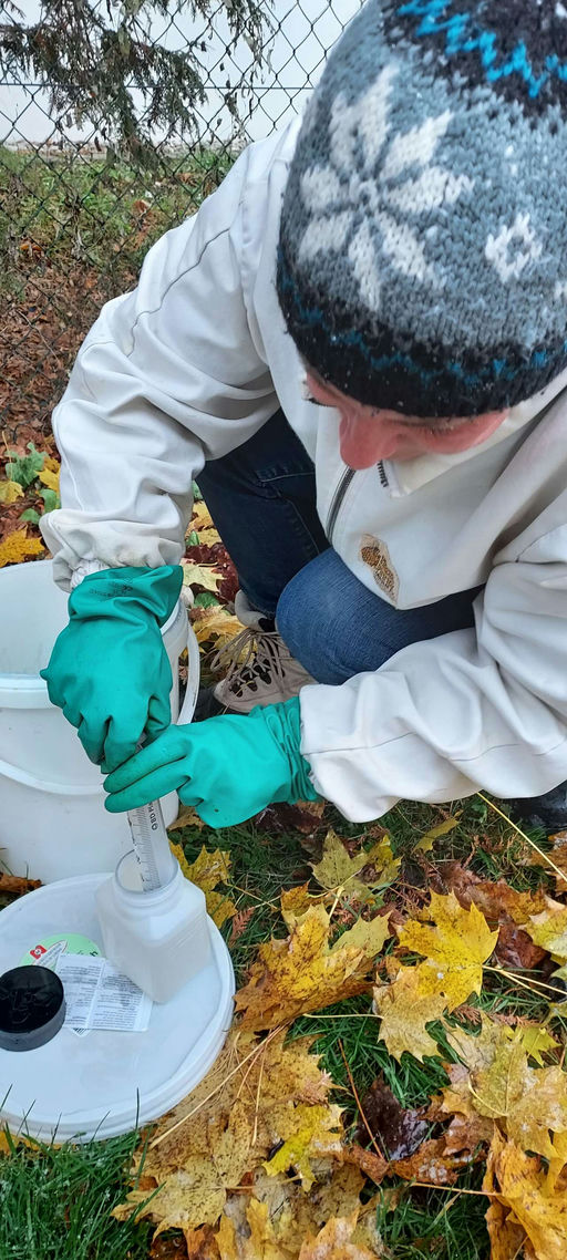 Winter am Bienenstand Bild 2