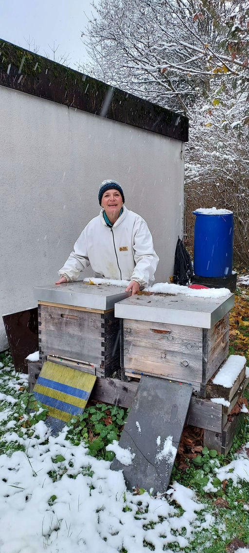 Winter am Bienenstand Bild 3
