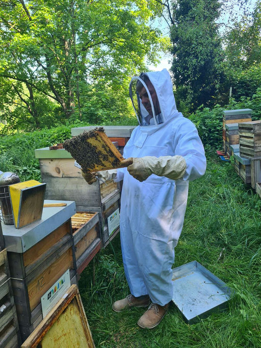 Imkern im Mai