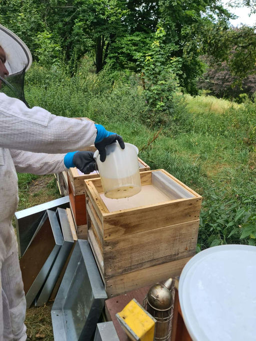 Imkern im August
