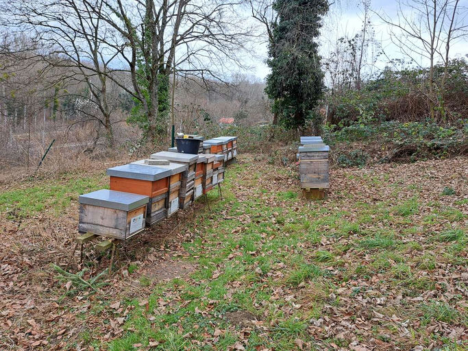 Imkern im Februar Bild 1