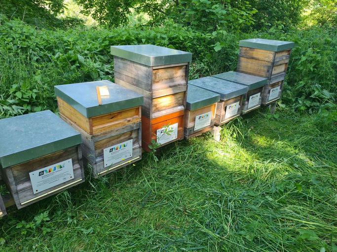 Imkern im Februar Bild 2