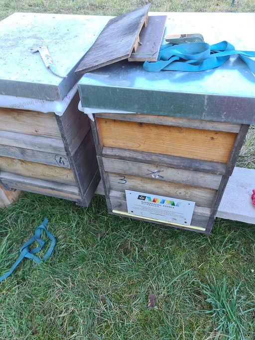 Imkern im Februar Bild 1