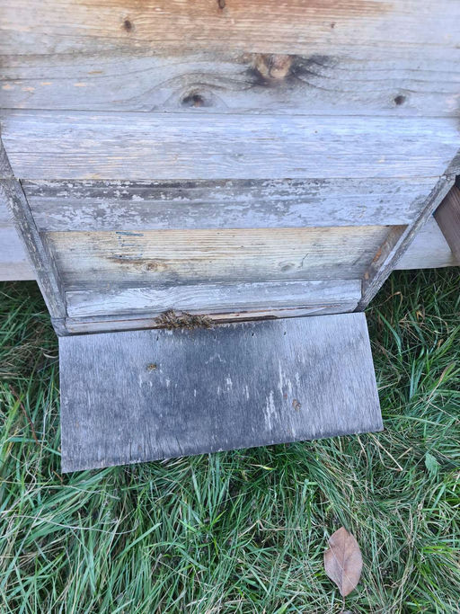 Imkern im Februar Bild 2