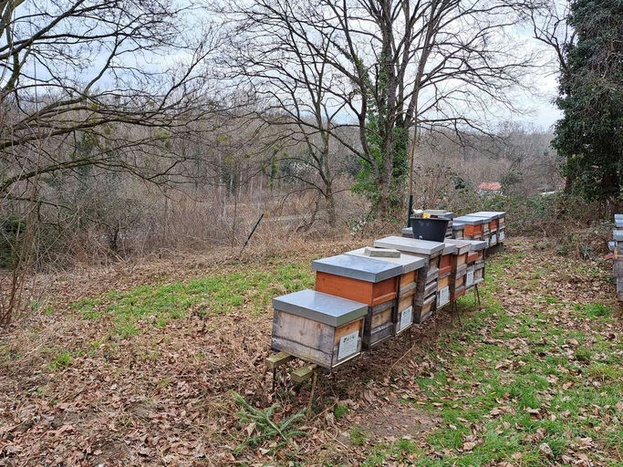 Imkern im Jänner