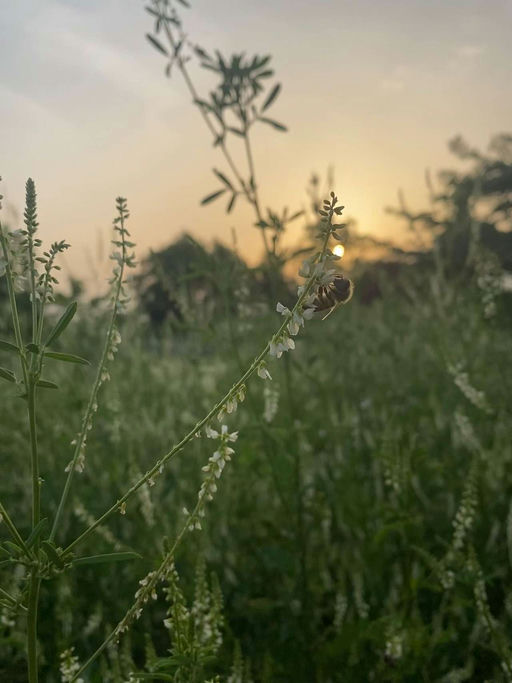 Erstes Füttern im Februar