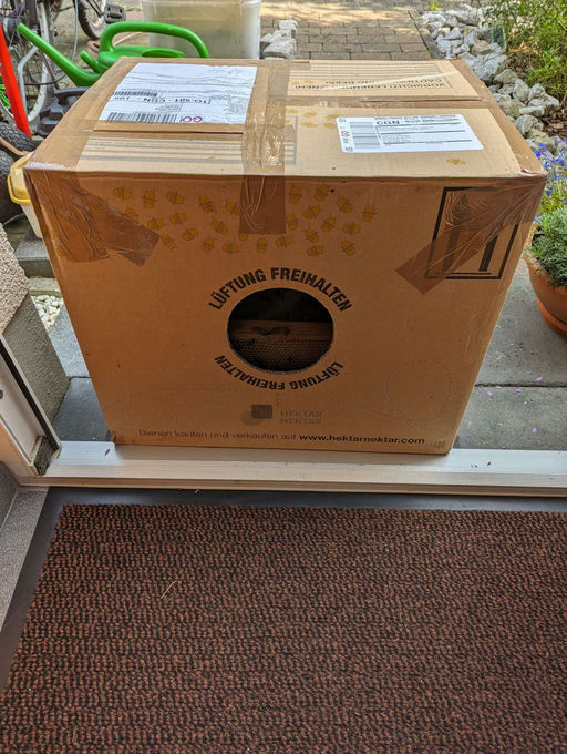 Postbienen im Anflug Bild 2