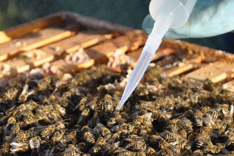 Der letzte Kontakt im alten Jahr