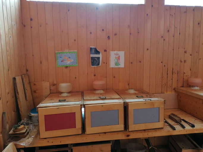 Behandlungskontrolle