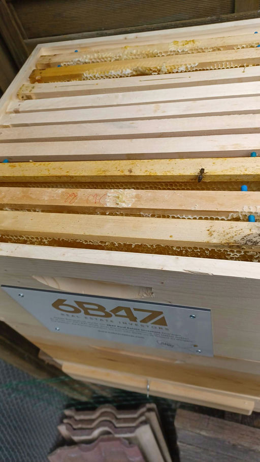 Sie sind da - der erste Kontakt