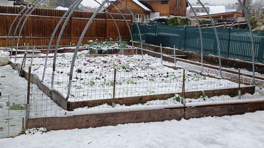 Endlich Winterschlaf